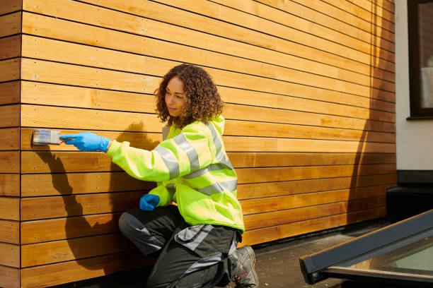 Best Siding for New Construction  in North Las Vegas, NV